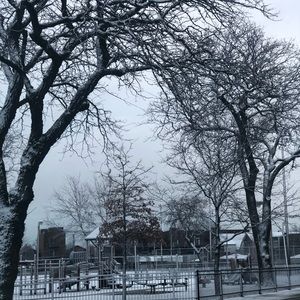 Meet your Posher, Daniela